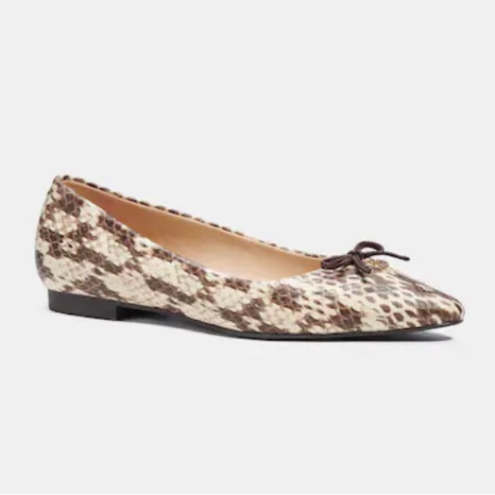 Coach Annabel Snake Print Pointed Toe Ballet Flats Sz 6.5 New! - Picture 10 of 13